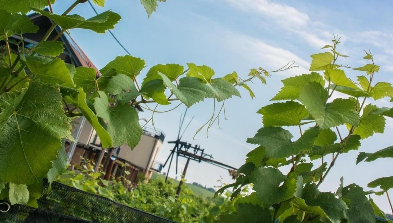 Zweytick Gaestezimmer Weingut Ratsch an der Weinstrasse Exterior photo